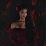 Guest_Nr543885