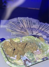 Guest_Flowskii23
