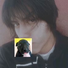 Guest_erickauau