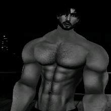 Guest_Novak20