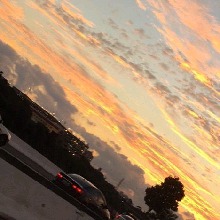 Guest_Liyah854198