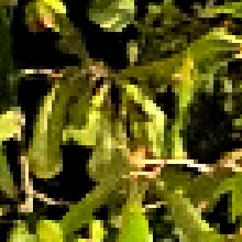 Guest_Davina699165