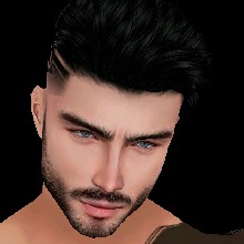 Guest_Adel801237