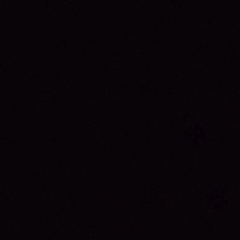 Guest_shiveringcamel8e85