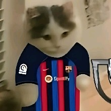 Guest_Radien1