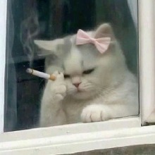 Guest_dayyys1