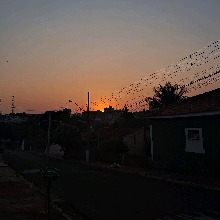 Guest_Luizaa903581
