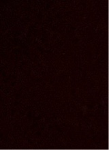manu352323