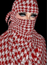 صورة الـavatar
