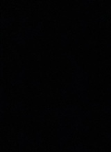 Guest_may117409