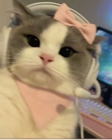 Foto de Avatar