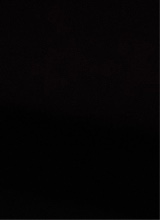Guest_StackchaserAd6