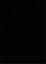 Guest_alaiiyaa19