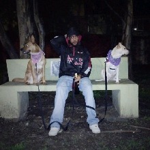 Guest_808Chino