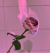 Guest_JuliannyRodriguez1