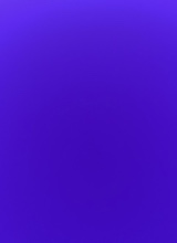 Guest_zinnia191