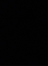 Guest_Ali577726