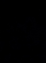 Guest_Hozan4