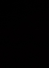 Guest_Hozan4