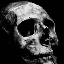 Guest_Death316514