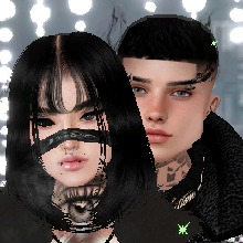 Guest_AviLin1