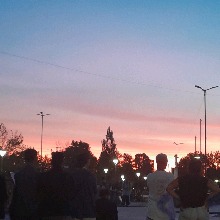 Guest_Alondraa30