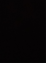 Panter69