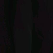 Guest_Drezah3