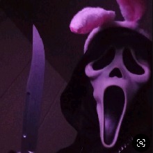 Guest_TMFUMACINHA