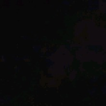 Guest_1andonlystar