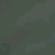 Guest_uzotu
