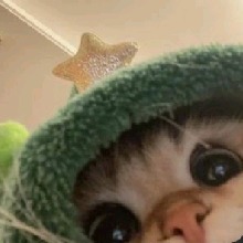 Guest_silvaneideyyy