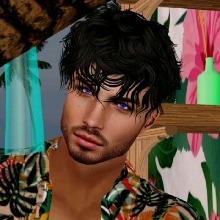 Guest_Luca753165