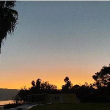 Guest_Paula389389