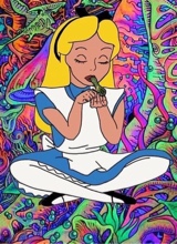 Guest_QueenKush4203