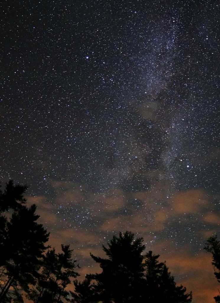 CosmosKing