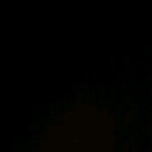 Guest_Taysha37