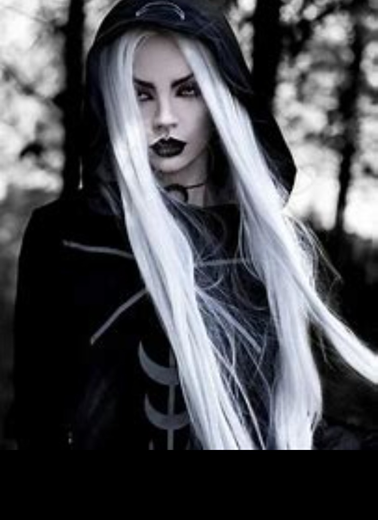 DarkRavenSpiritWolf