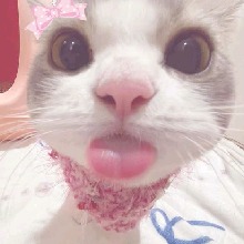 Guest_babyliliz00