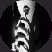 Guest_voidang