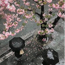 Guest_FlorDeMaria1