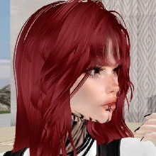 Guest_Gio478976