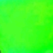 Guest_Pimenta8
