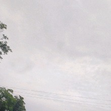 Guest_Juju396495