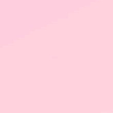 Guest_Ana770748