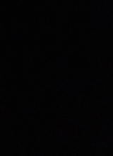 Guest_Gianna510043