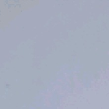 Guest_Orro