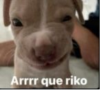 validateee