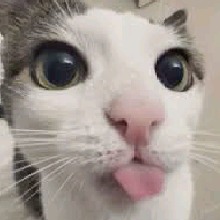 Yukipinkyizo