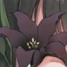 Guest_KarlaB3